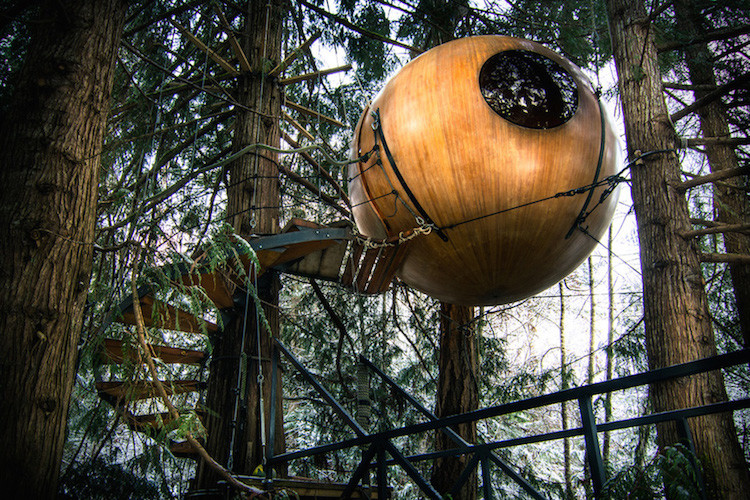 Этот канадский отель со сферическими домиками предлагает вам спать на деревьях